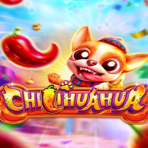 ChilihuaHua: The Spicy Adventure in Online Gaming